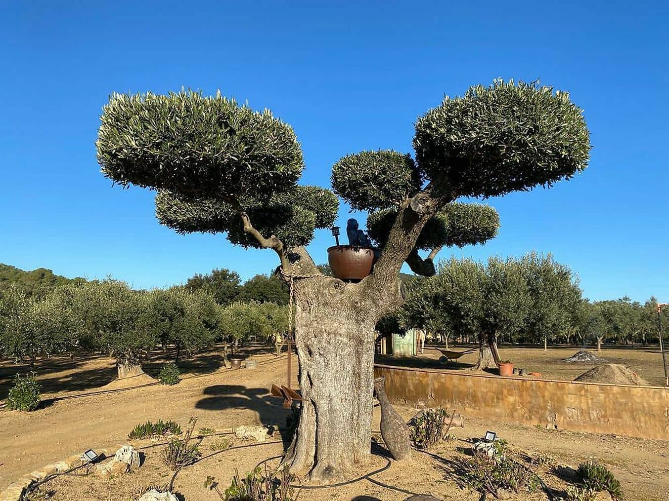 Finca/Casa di Campagna in vendita in Mont-ras - 1.200.000 € (Rif: 6807371)