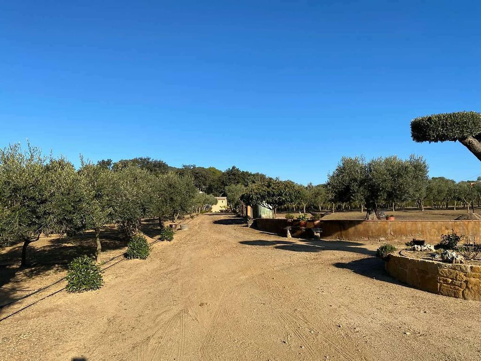 Quinta/Casa Rural para venda em Mont-ras - 1 200 000 € (Ref: 6807371)