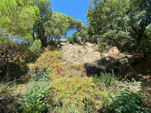 Rakentamaton maa myytävänä paikassa Santa Cristina d'Aro - 65 000 € (Ref: 7342316)