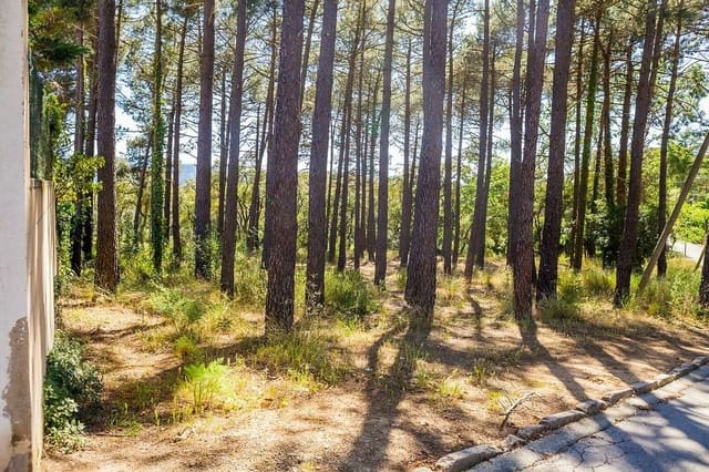 Grunde uden byggetilladelser til salg i Santa Cristina d'Aro - € 165.000 (Ref: 7585649)