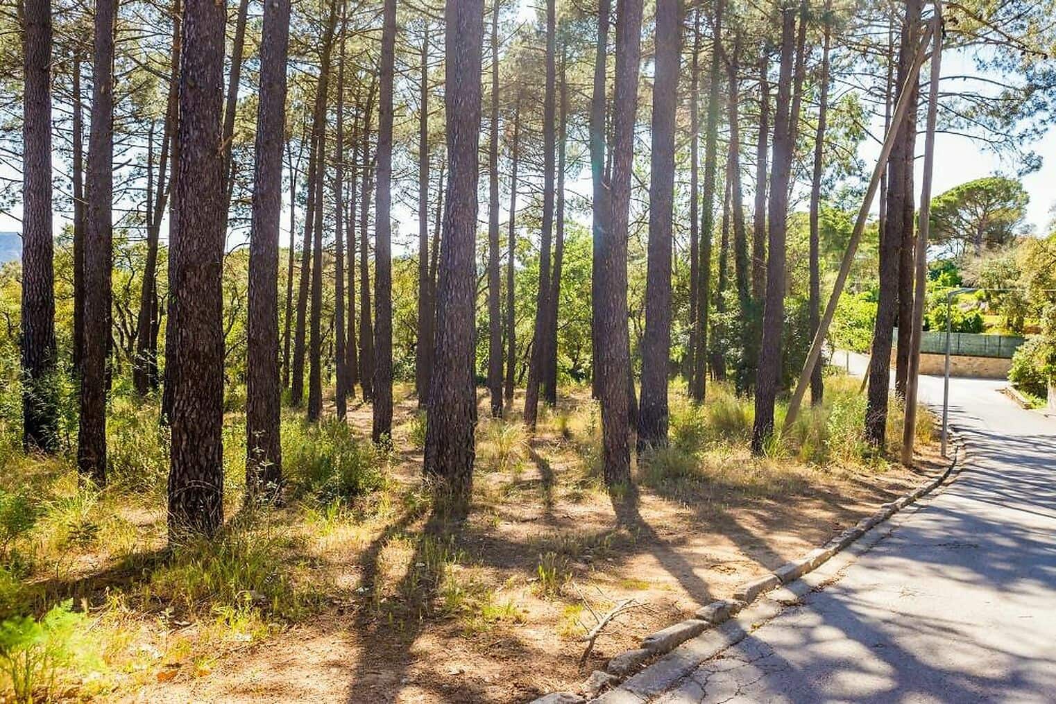 Grunde uden byggetilladelser til salg i Santa Cristina d'Aro - € 165.000 (Ref: 7585649)