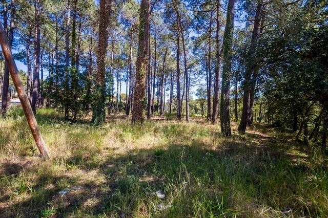 Rakentamaton maa myytävänä paikassa Santa Cristina d'Aro - 165 000 € (Ref: 7585649)
