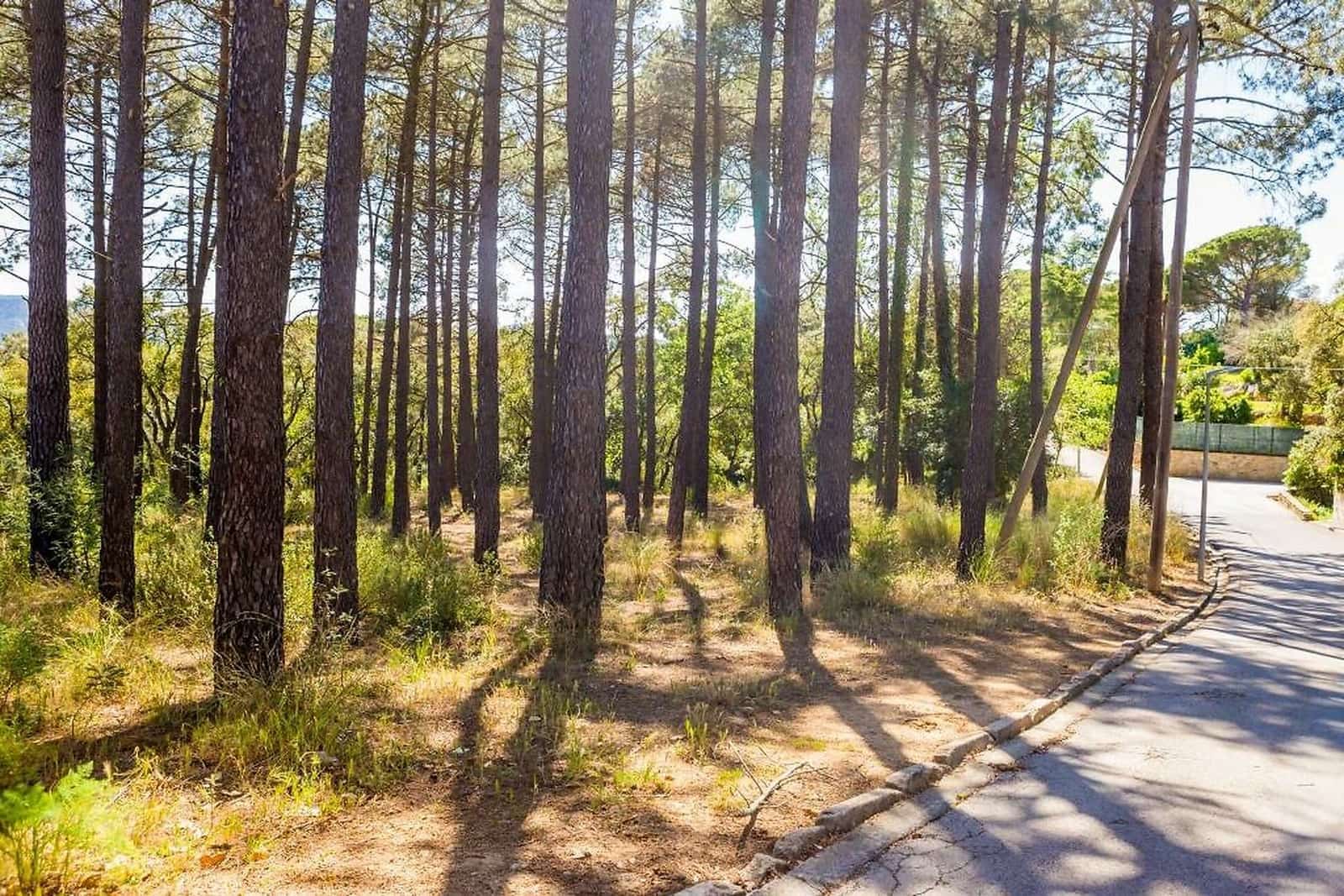 Rakentamaton maa myytävänä paikassa Santa Cristina d'Aro - 165 000 € (Ref: 7585649)