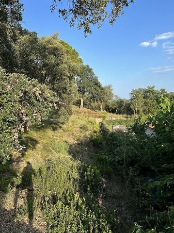 Undeveloped Land for sale in Santa Cristina d'Aro - € 80,000 (Ref: 7717745)