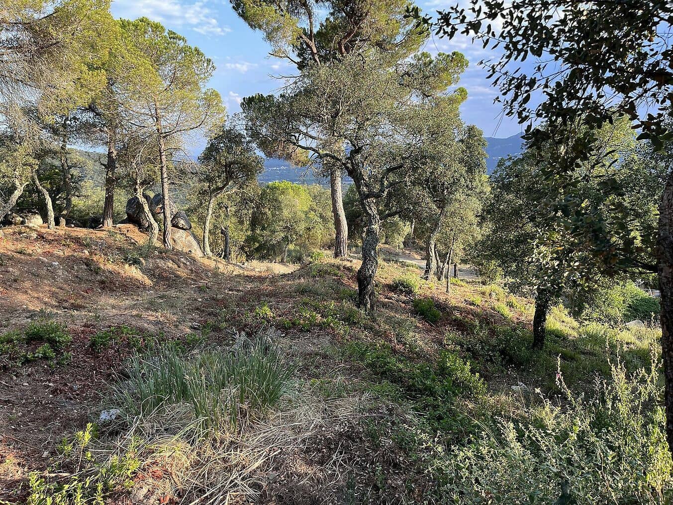 Grunde uden byggetilladelser til salg i Santa Cristina d'Aro - € 80.000 (Ref: 7717745)