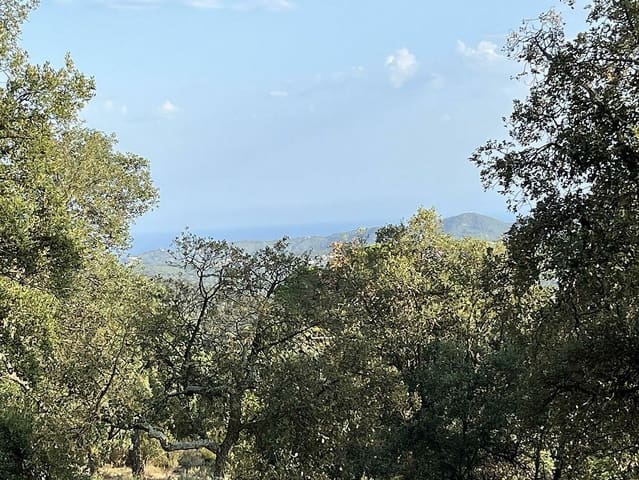 Undeveloped Land for sale in Santa Cristina d'Aro - € 80,000 (Ref: 7717745)