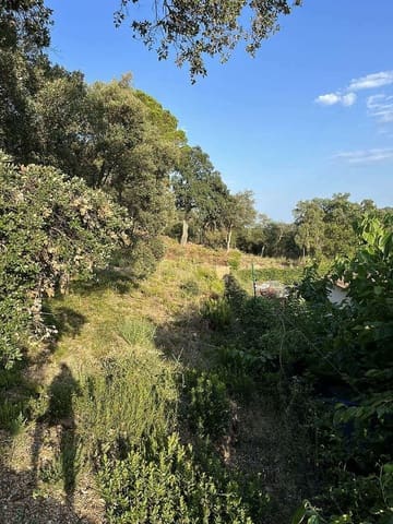 Rakentamaton maa myytävänä paikassa Santa Cristina d'Aro - 80 000 € (Ref: 7717745)