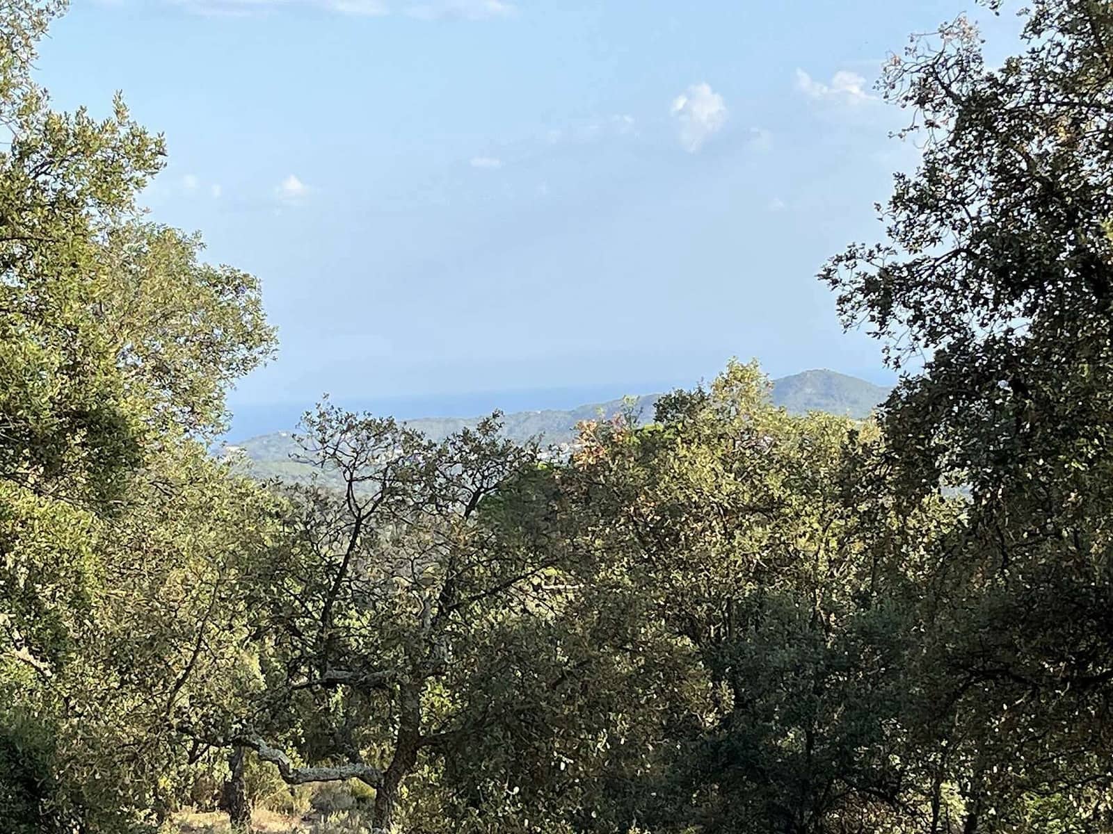 Terreno Non Edificato in vendita in Santa Cristina d'Aro - 80.000 € (Rif: 7717745)