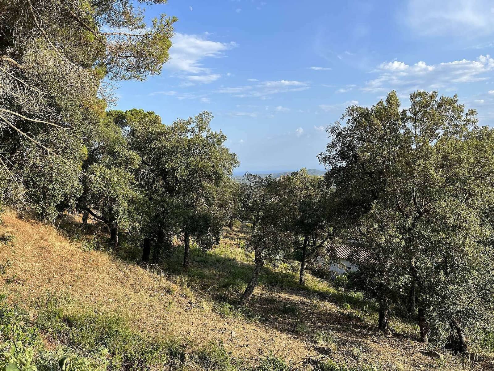Terreno Non Edificato in vendita in Santa Cristina d'Aro - 80.000 € (Rif: 7717745)