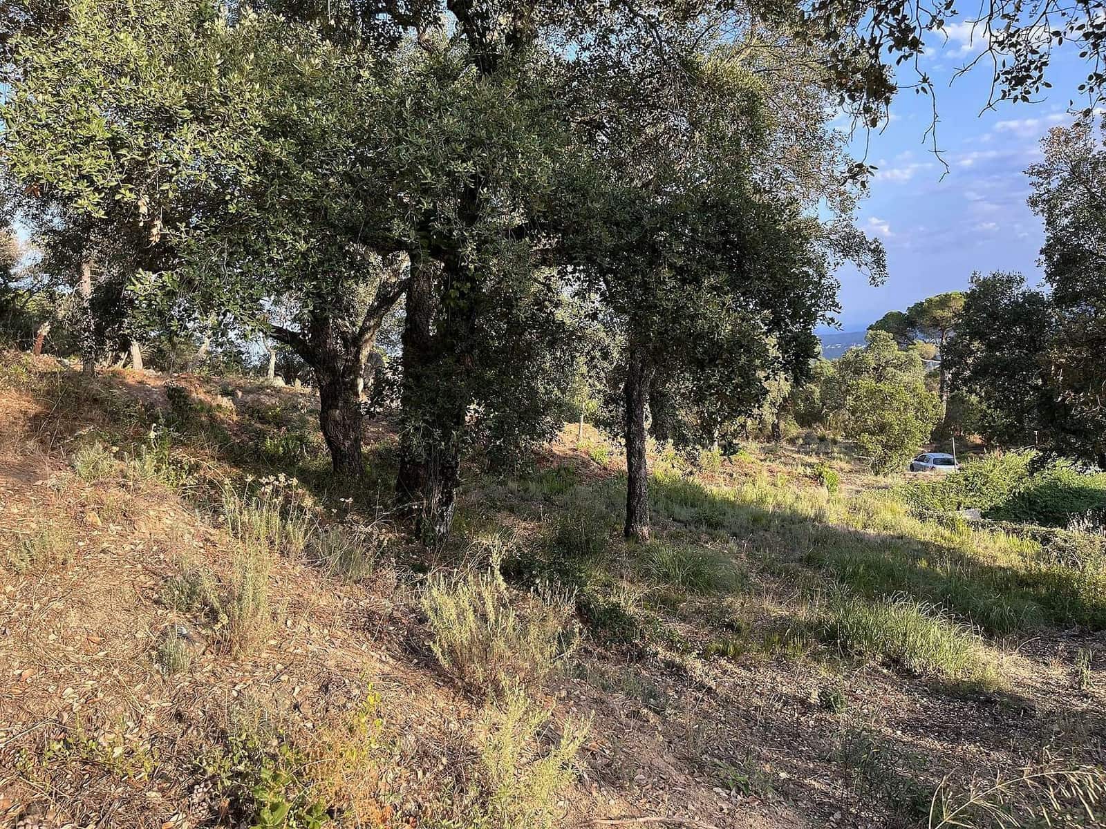 Terreno Non Edificato in vendita in Santa Cristina d'Aro - 80.000 € (Rif: 7717745)