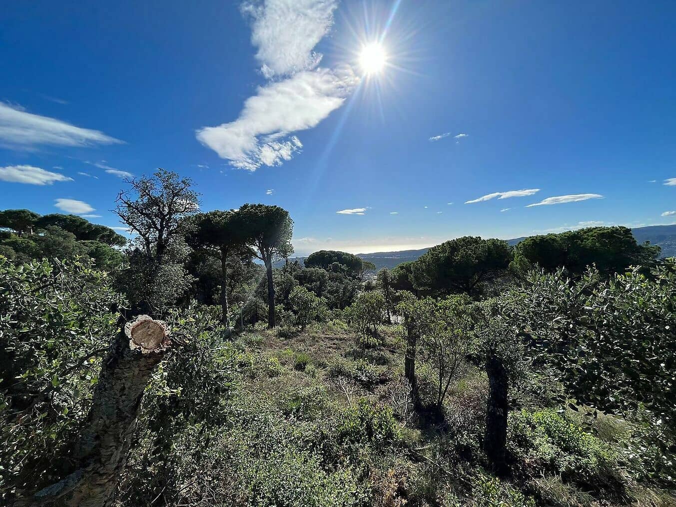 Ubebygd land til salgs i Platja d'Aro - € 360 000 (Ref: 7886911)