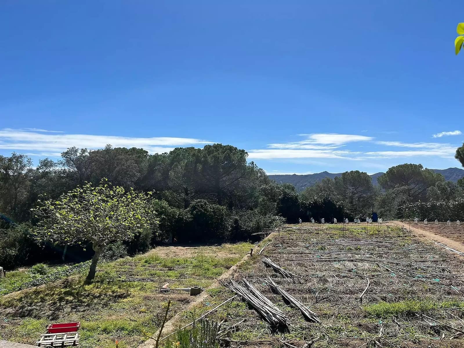 Ubebygd land til salgs i Santa Cristina d'Aro - € 160 000 (Ref: 8196722)