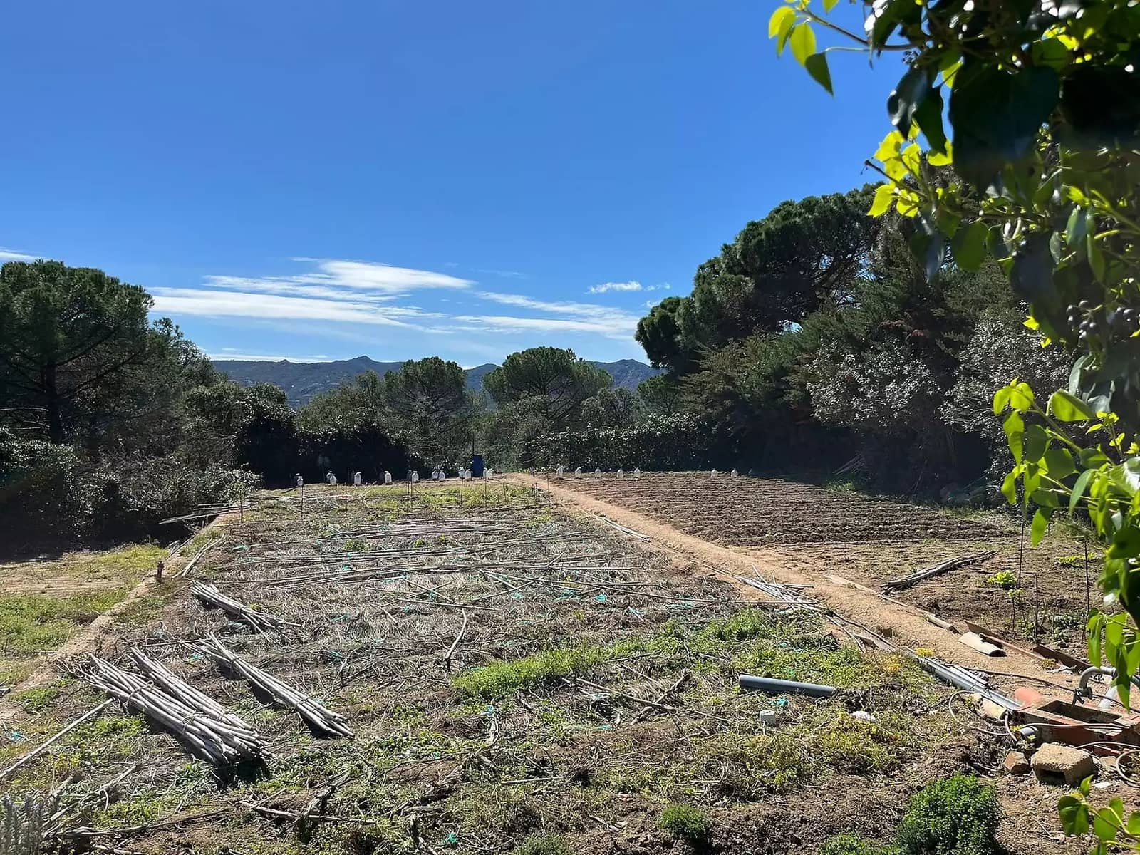 Ubebygd land til salgs i Santa Cristina d'Aro - € 160 000 (Ref: 8196722)
