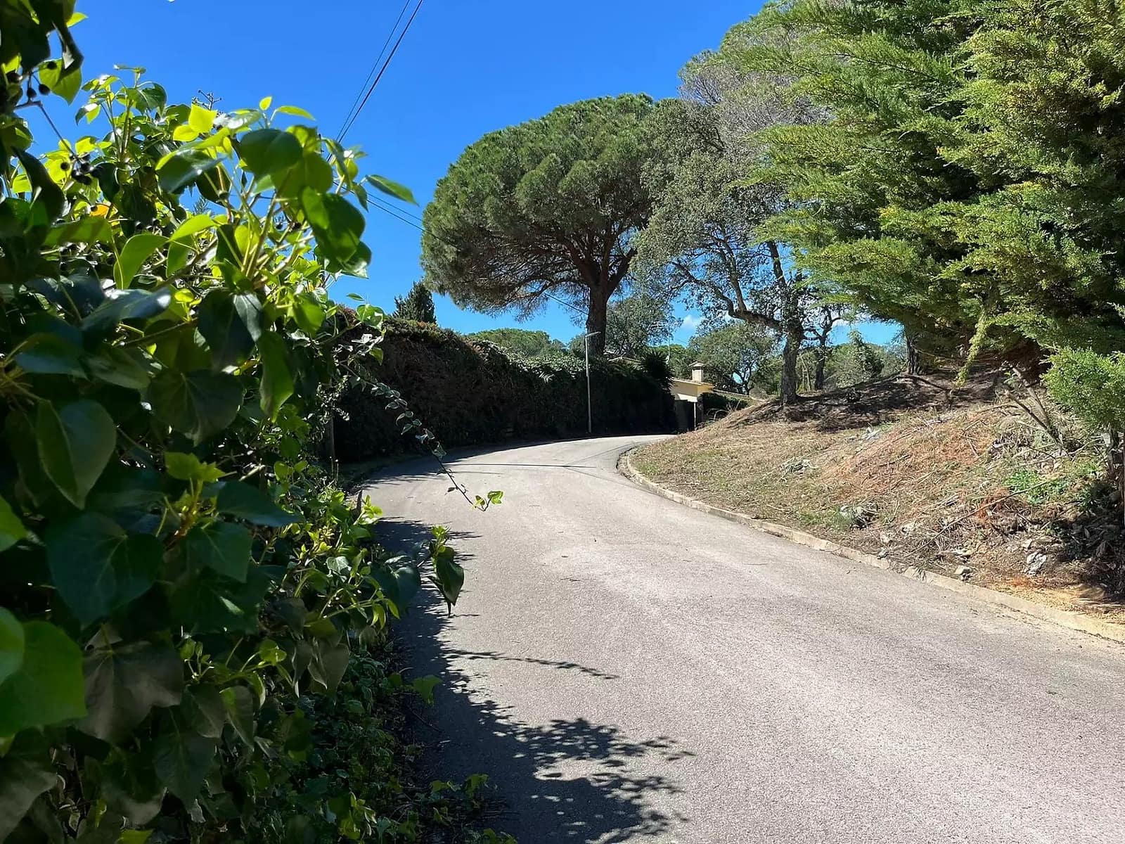 Ubebygd land til salgs i Santa Cristina d'Aro - € 160 000 (Ref: 8196722)