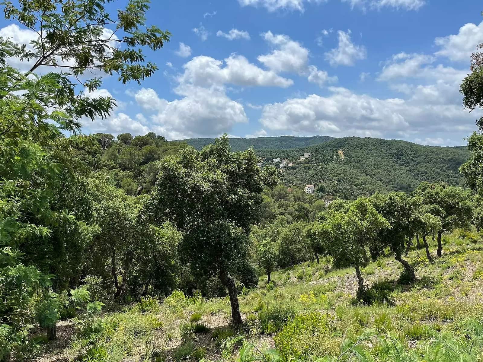 Ubebygd land til salgs i Calonge i Sant Antoni - € 92 000 (Ref: 8377403)
