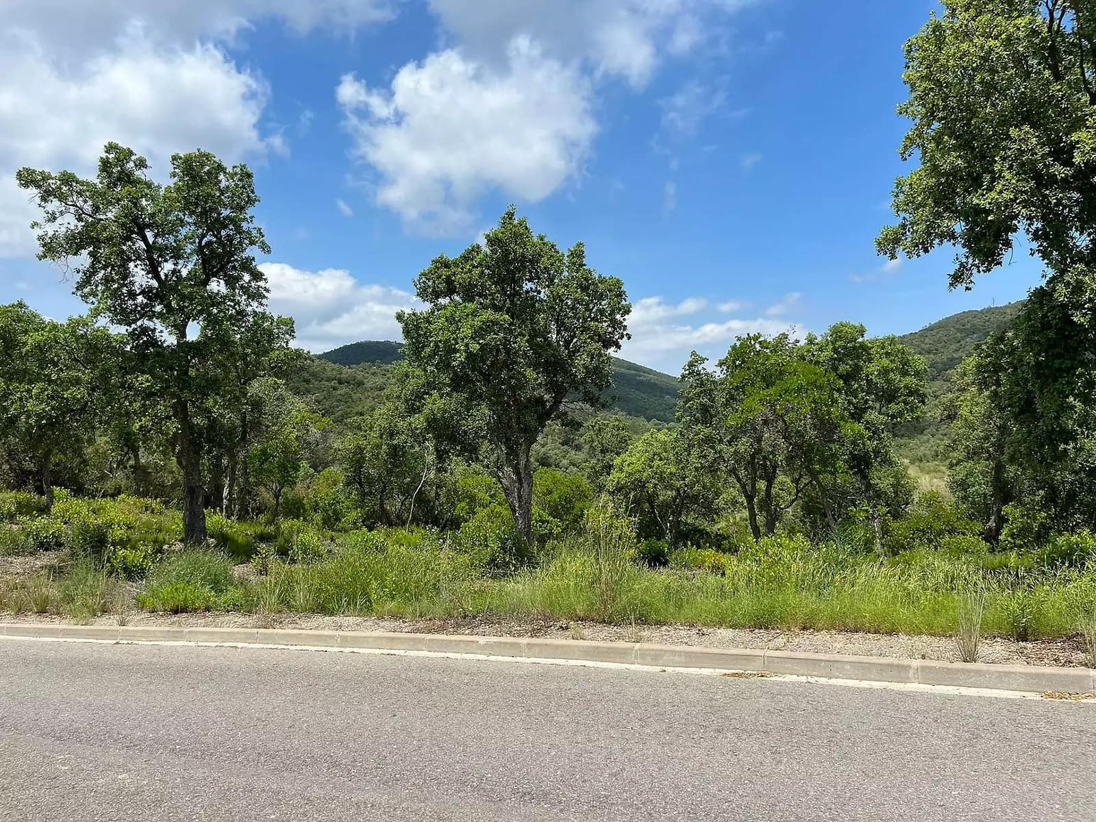 Ubebygd land til salgs i Calonge i Sant Antoni - € 92 000 (Ref: 8377403)