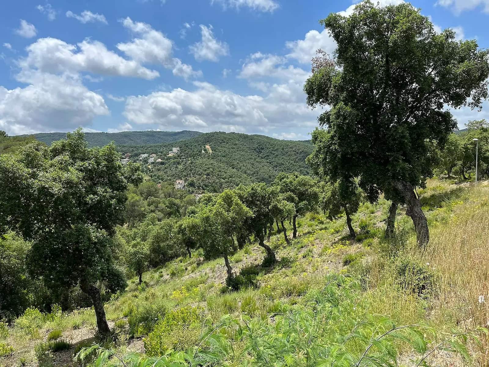 Ubebygd land til salgs i Calonge i Sant Antoni - € 92 000 (Ref: 8377403)