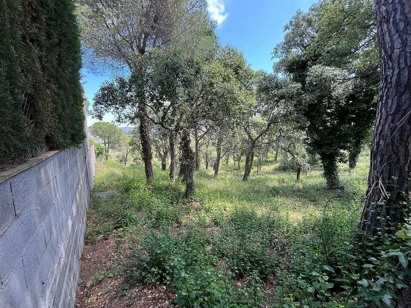 Grond te koop in Calonge i Sant Antoni - € 130.000 (Ref: 8405098)