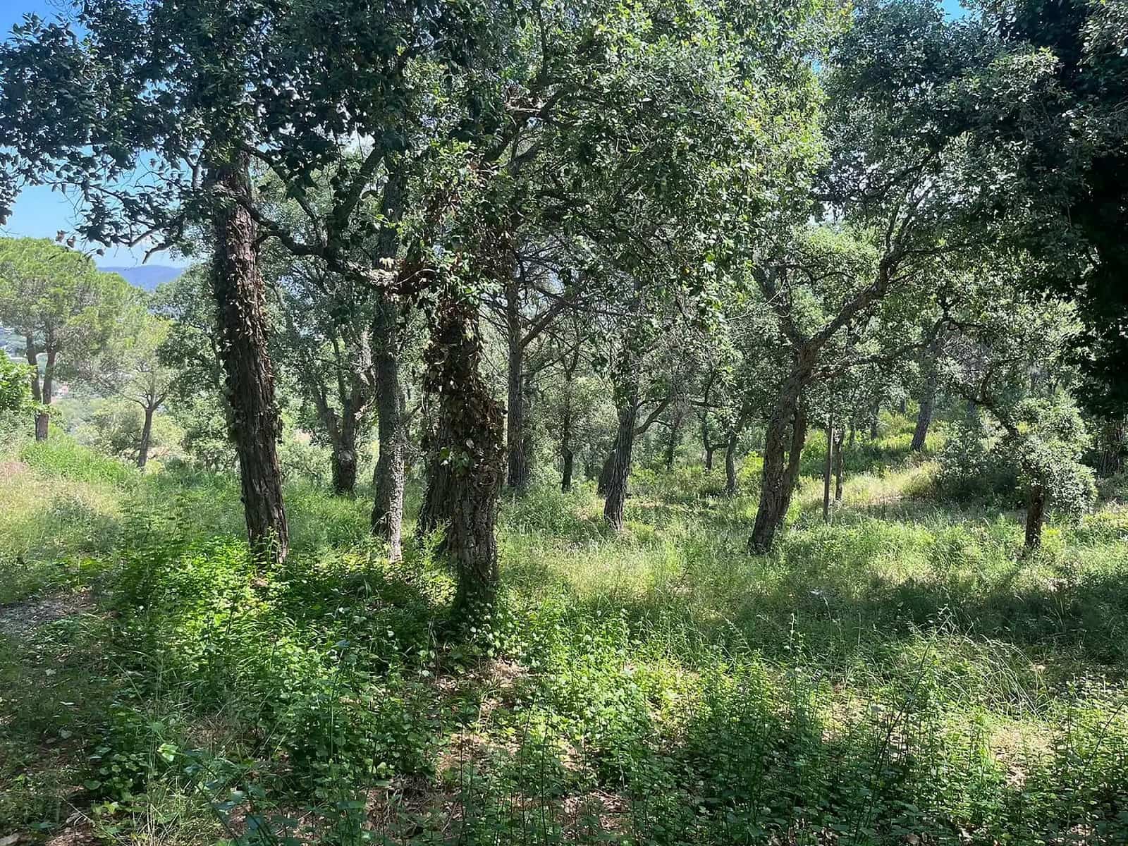 Terreno Non Edificato in vendita in Calonge i Sant Antoni - 130.000 € (Rif: 8405098)