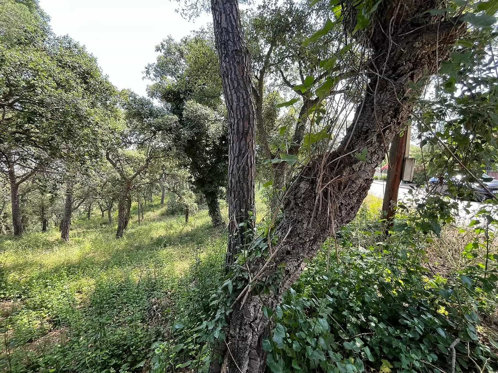 Terreno Non Edificato in vendita in Calonge i Sant Antoni - 130.000 € (Rif: 8405098)