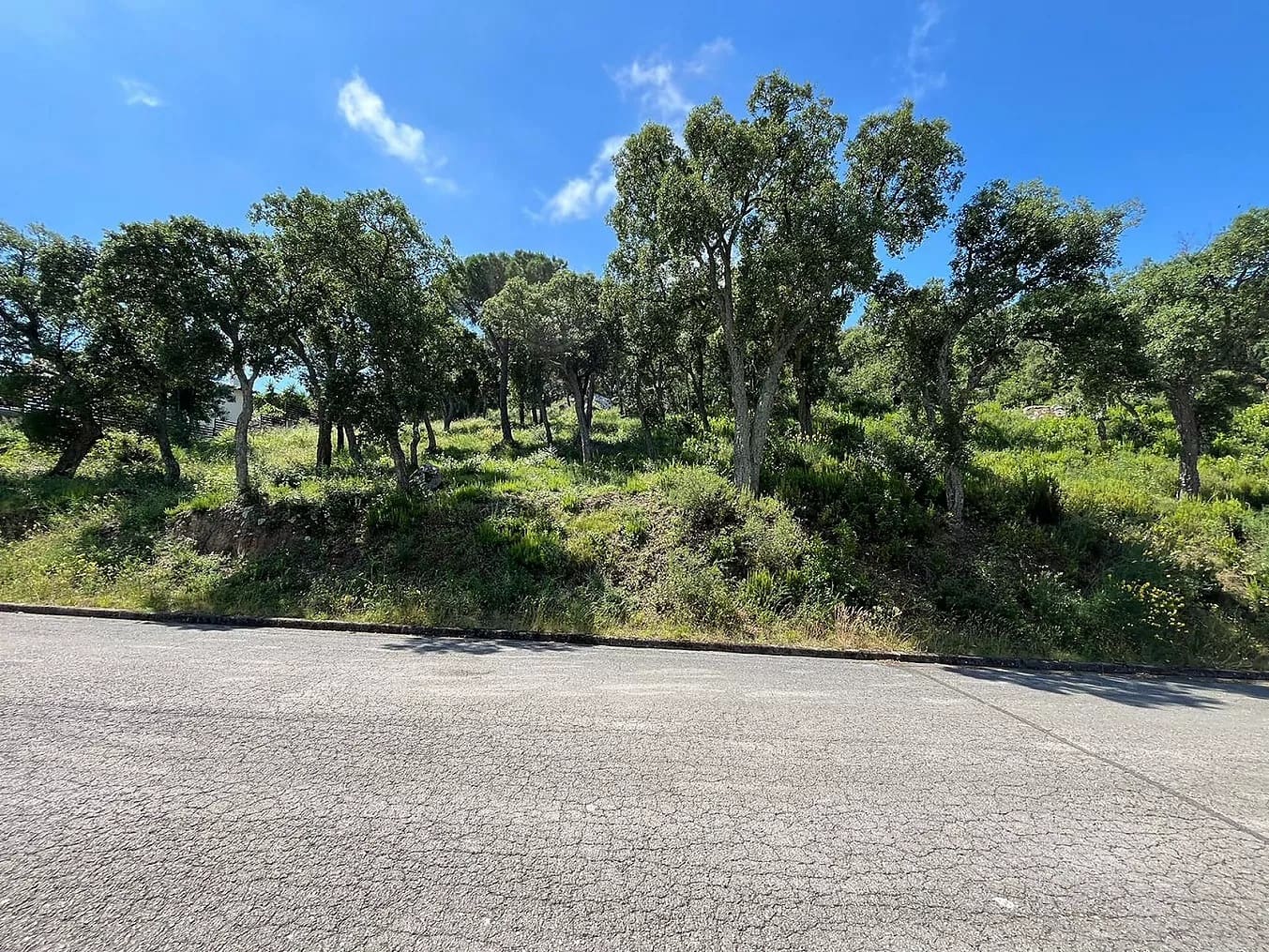 Grunde uden byggetilladelser til salg i Calonge i Sant Antoni - € 675.000 (Ref: 8405099)