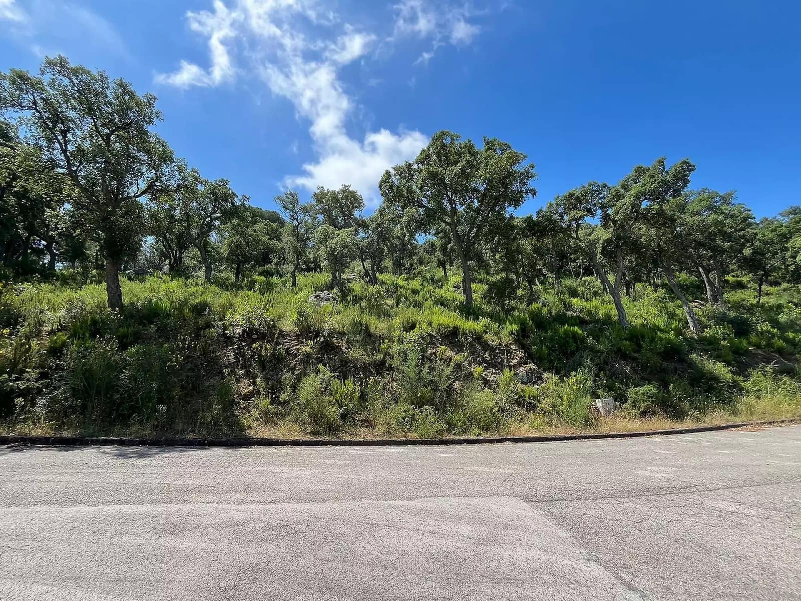 Grunde uden byggetilladelser til salg i Calonge i Sant Antoni - € 675.000 (Ref: 8405099)