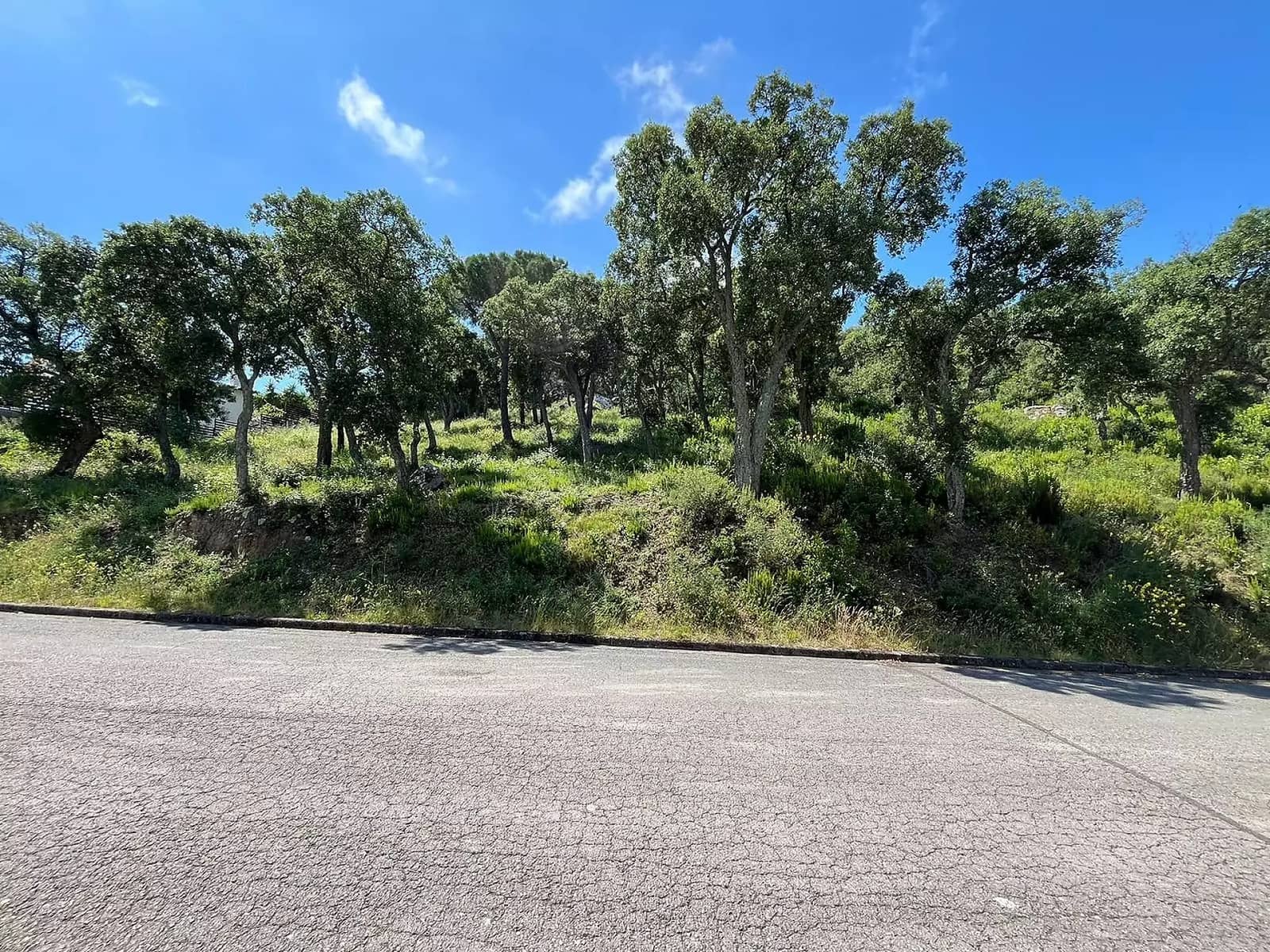 Grunde uden byggetilladelser til salg i Calonge i Sant Antoni - € 675.000 (Ref: 8405099)