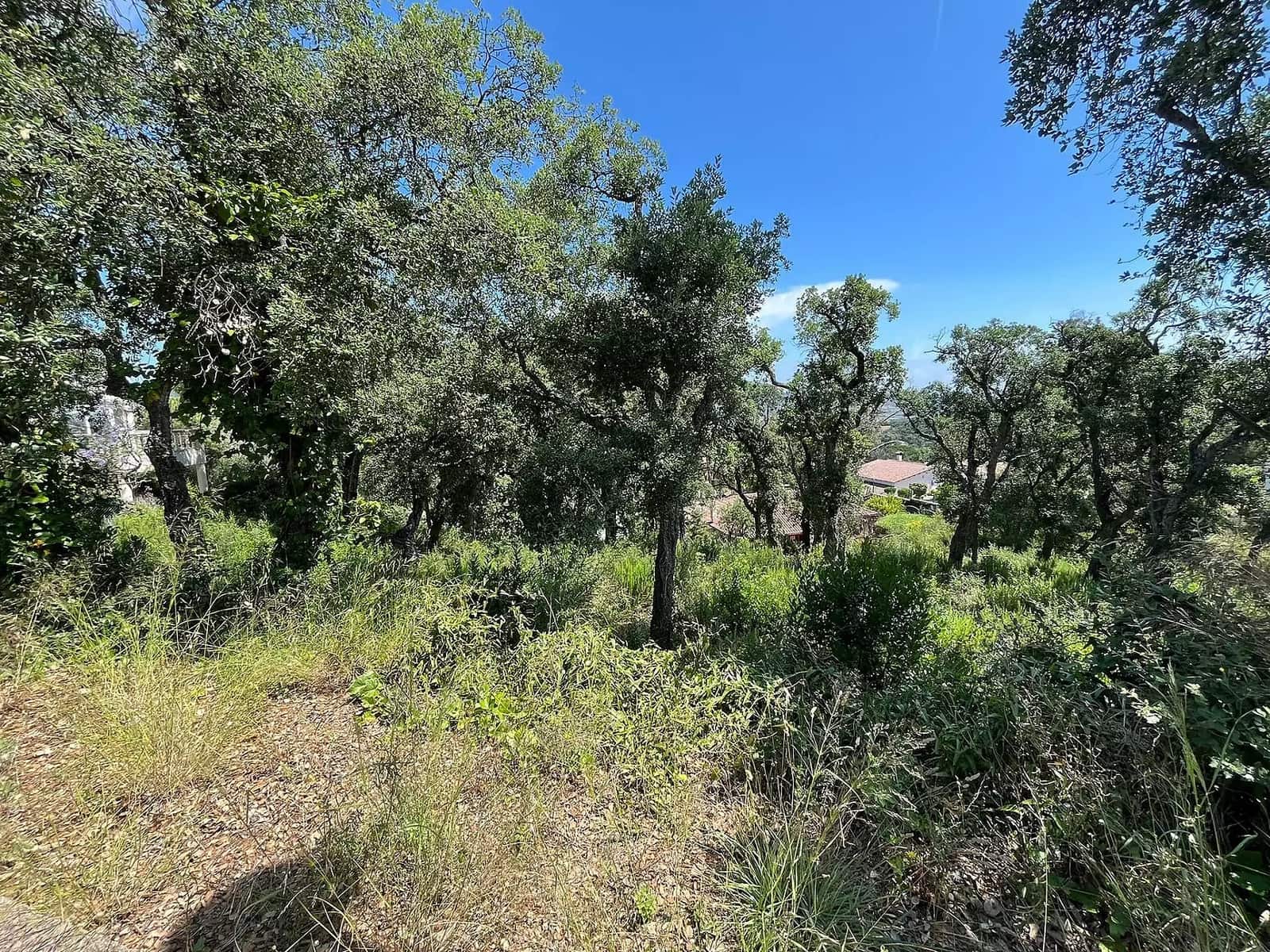 Terreno Não Urbanizado para venda em Calonge i Sant Antoni - 130 000 € (Ref: 8409707)