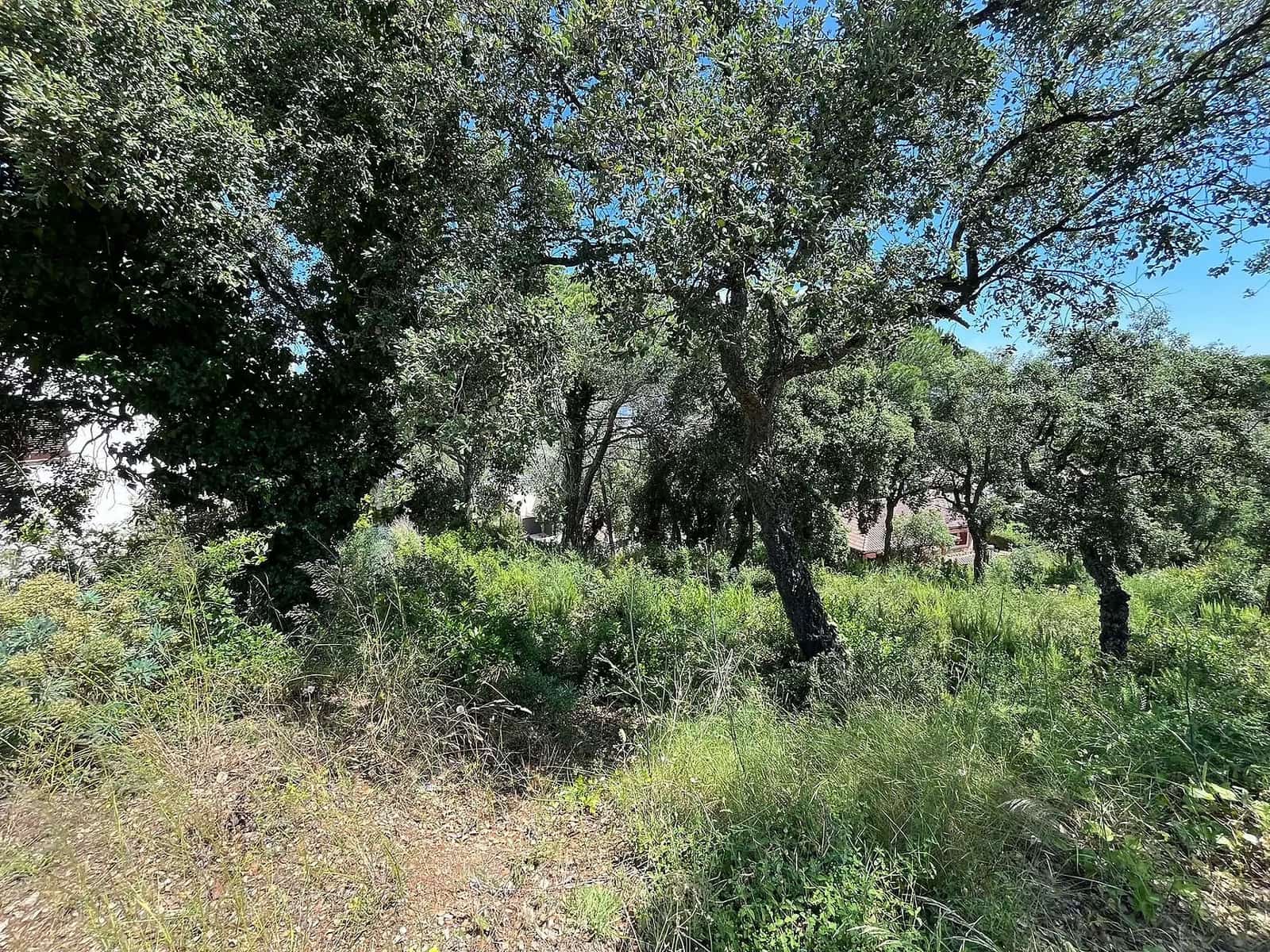 Terreno Não Urbanizado para venda em Calonge i Sant Antoni - 130 000 € (Ref: 8409707)
