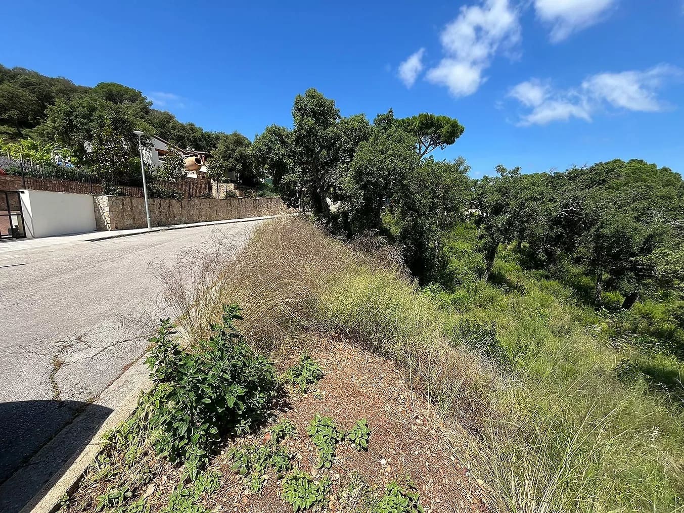 Ubebygd land til salgs i Calonge i Sant Antoni - € 130 000 (Ref: 8411298)