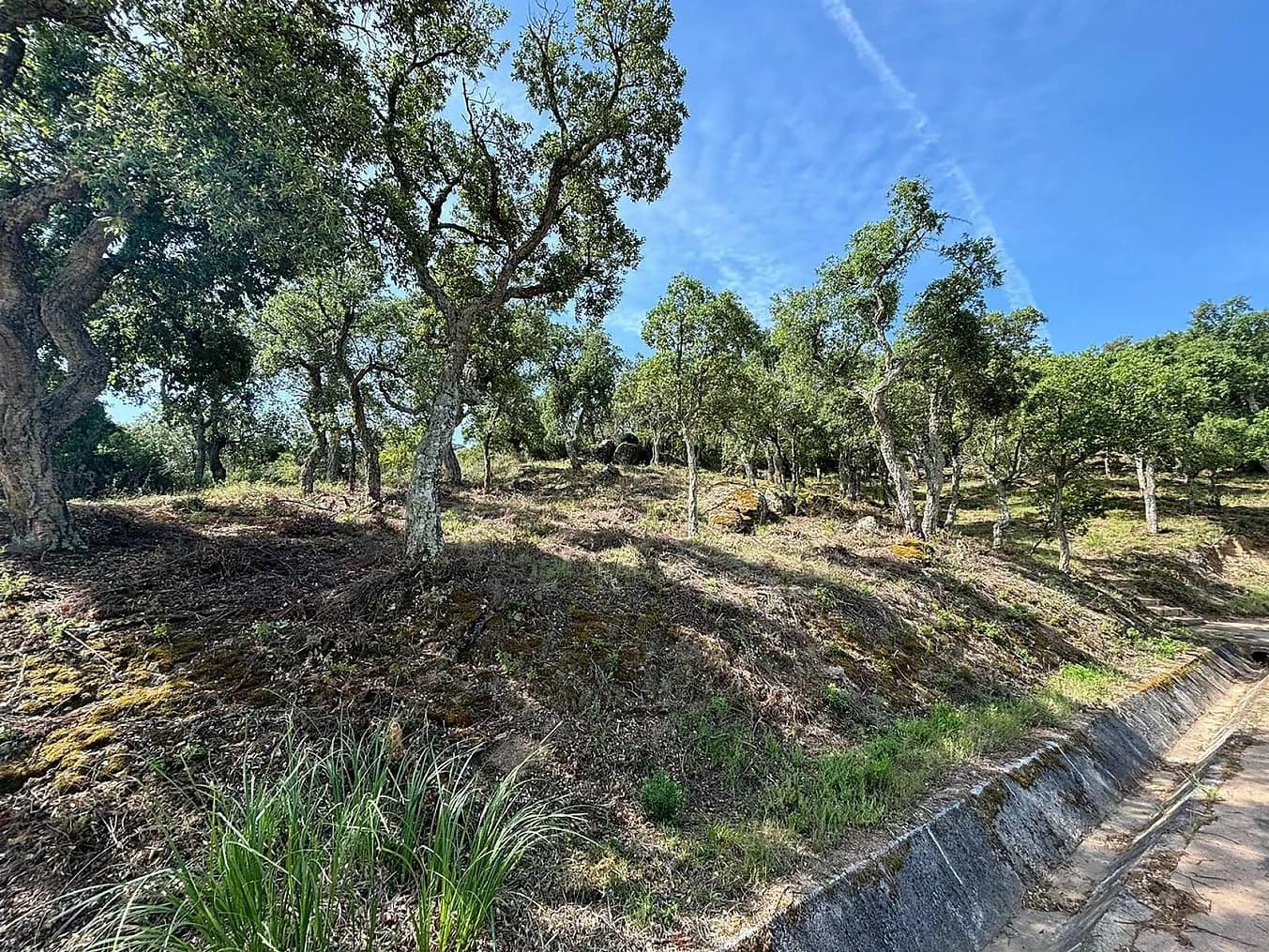 Grunde uden byggetilladelser til salg i Calonge i Sant Antoni - € 200.000 (Ref: 8529919)