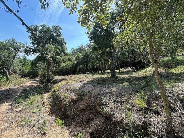 Undeveloped Land for sale in Calonge i Sant Antoni - € 200,000 (Ref: 8529919)