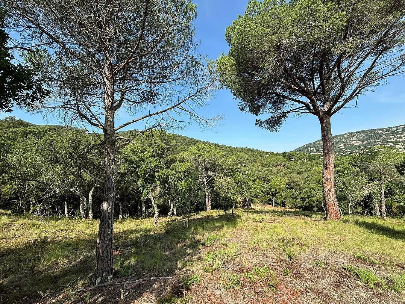 Grunde uden byggetilladelser til salg i Calonge i Sant Antoni - € 200.000 (Ref: 8529919)