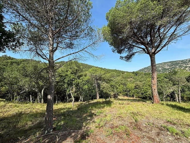 Undeveloped Land for sale in Calonge i Sant Antoni - € 200,000 (Ref: 8529919)