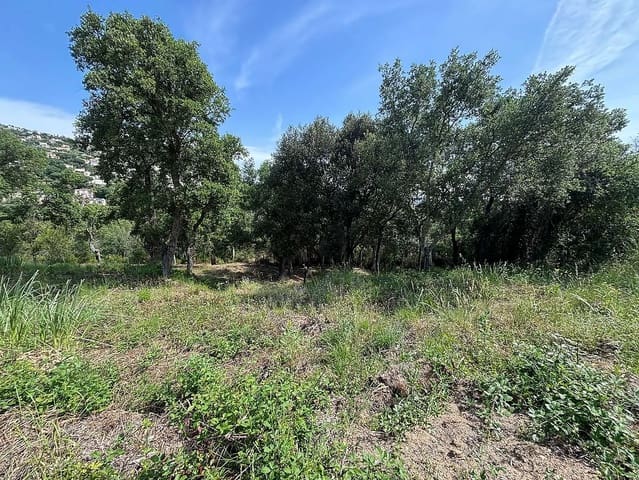 Undeveloped Land for sale in Calonge i Sant Antoni - € 200,000 (Ref: 8529919)