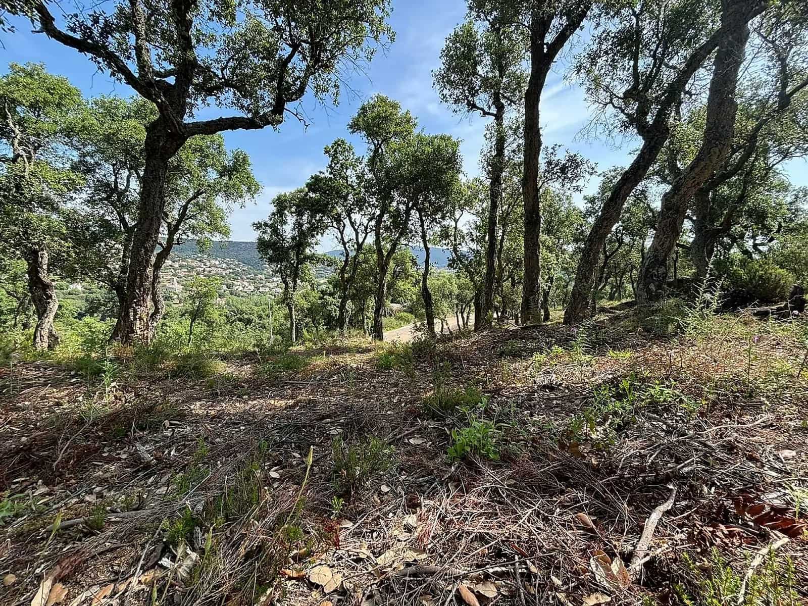 Grunde uden byggetilladelser til salg i Calonge i Sant Antoni - € 200.000 (Ref: 8529919)