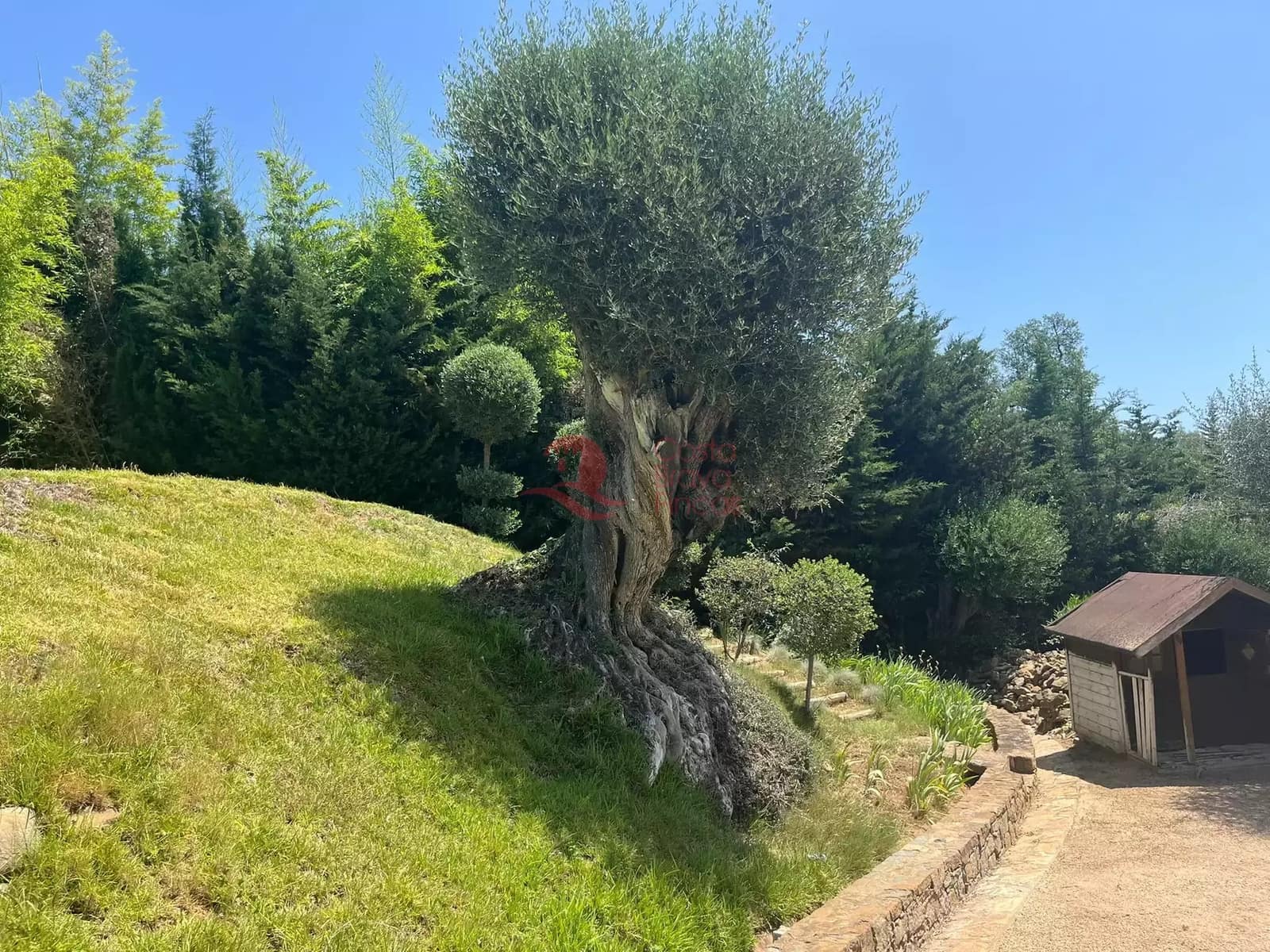 10 chambre Finca/Maison de Campagne à vendre à Vall-llobrega avec piscine garage - 2 300 000 € (Ref: 9059271)