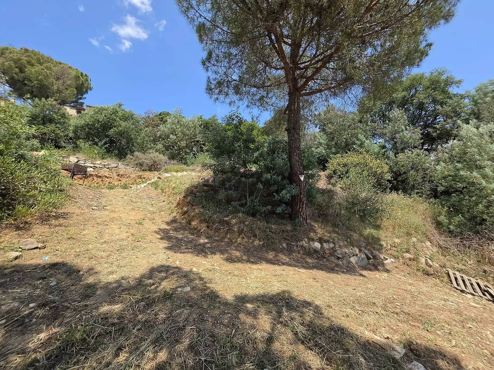 Ubebygd land til salgs i Calonge i Sant Antoni - € 165 000 (Ref: 9929007)