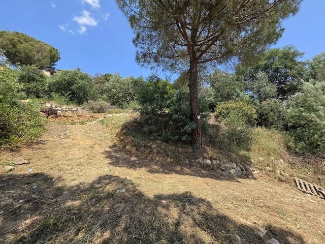 Ubebygd land til salgs i Calonge i Sant Antoni - € 165 000 (Ref: 9929007)