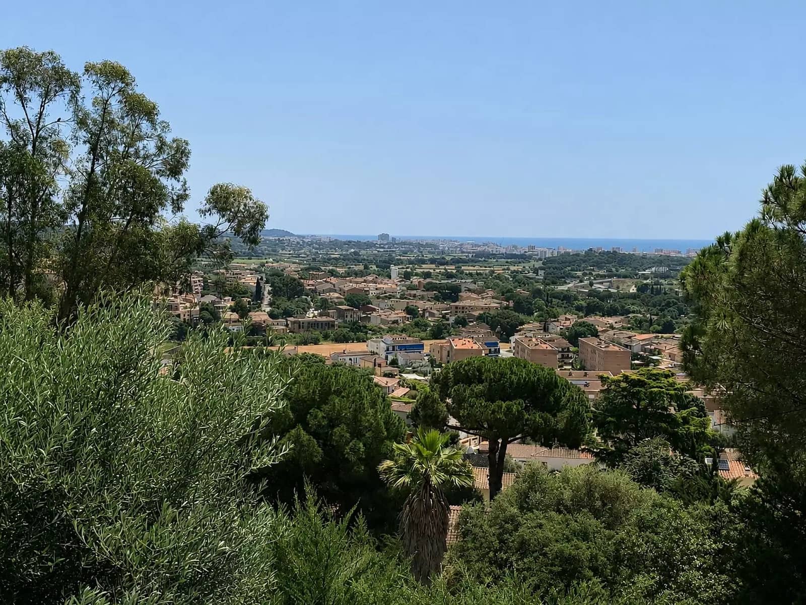 Ubebygd land til salgs i Calonge i Sant Antoni - € 165 000 (Ref: 9929007)