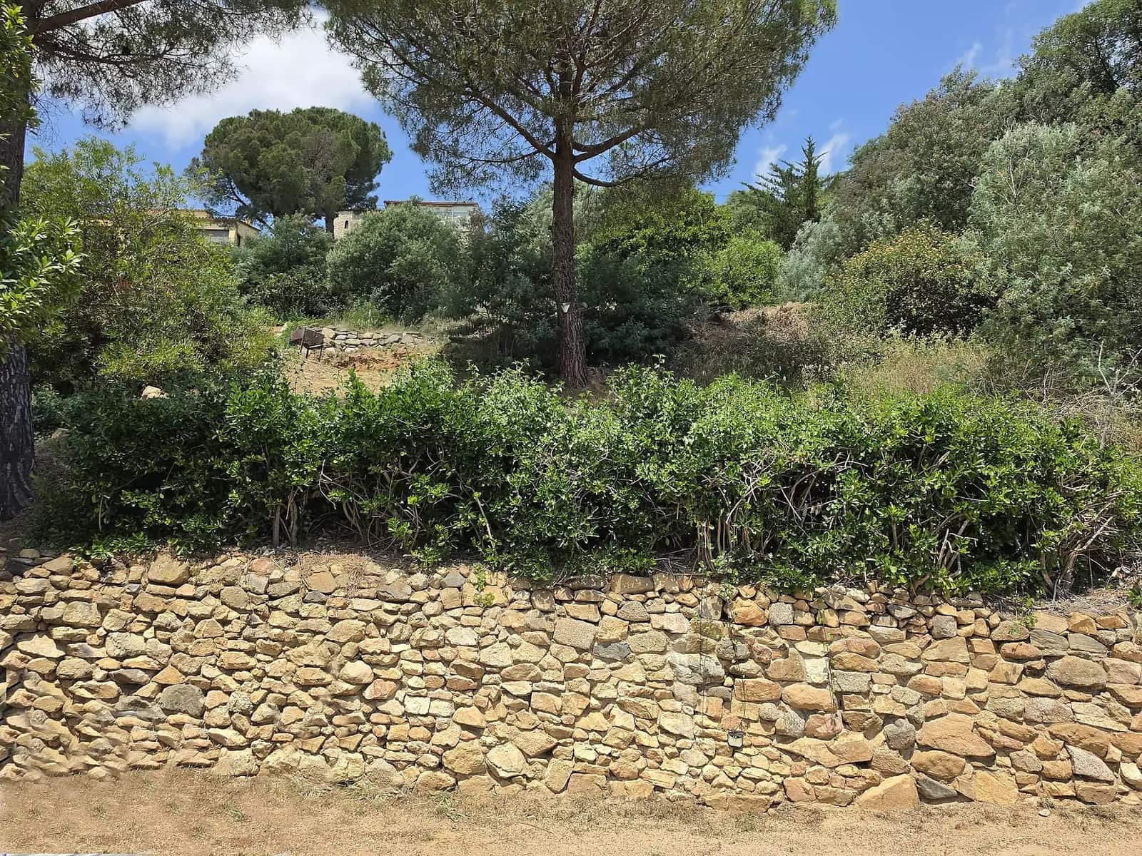 Ubebygd land til salgs i Calonge i Sant Antoni - € 165 000 (Ref: 9929007)