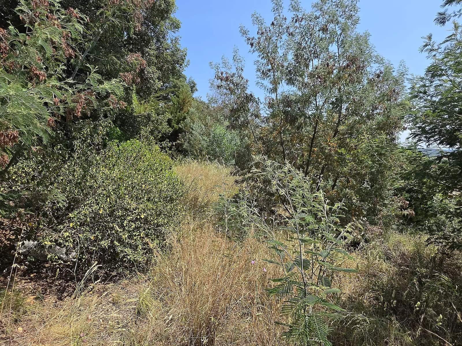 Ubebygd land til salgs i Calonge i Sant Antoni - € 165 000 (Ref: 9929007)