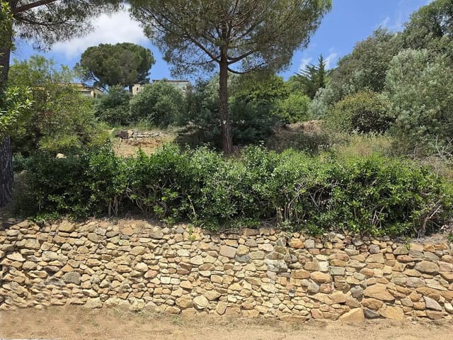 Ubebygd land til salgs i Calonge i Sant Antoni - € 165 000 (Ref: 9929007)