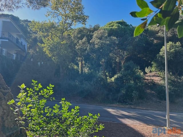 Terreno/Finca Rústica en Canet de Mar en venta - 79.000 € (Ref: 9929009)