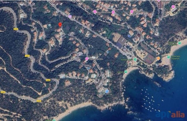 Terreno/Finca Rústica en Canet de Mar en venta - 79.000 € (Ref: 9929009)