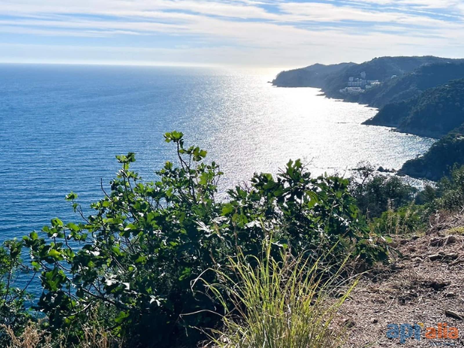 Mark till salu i Canet de Mar - 79 000 € (Ref: 9929009)