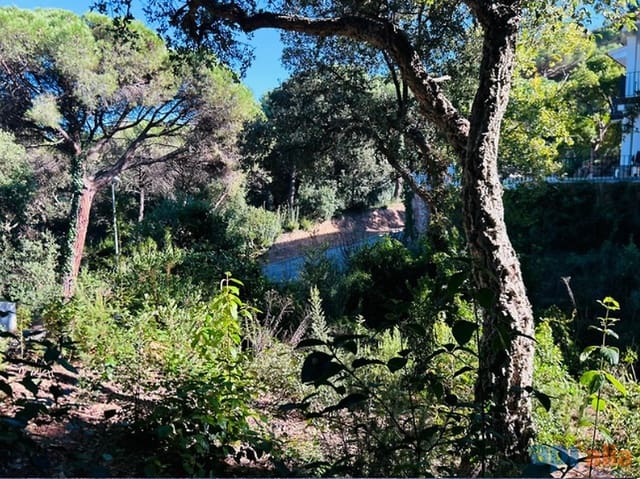 Terreno/Finca Rústica en Canet de Mar en venta - 79.000 € (Ref: 9929009)