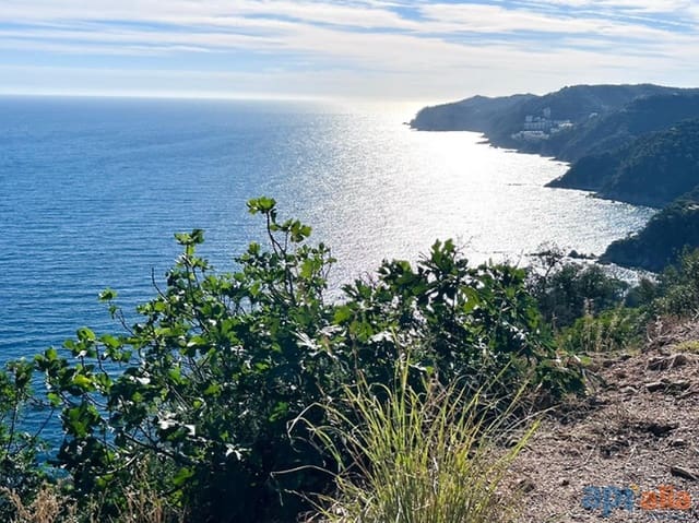 Terreno/Finca Rústica en Canet de Mar en venta - 79.000 € (Ref: 9929009)