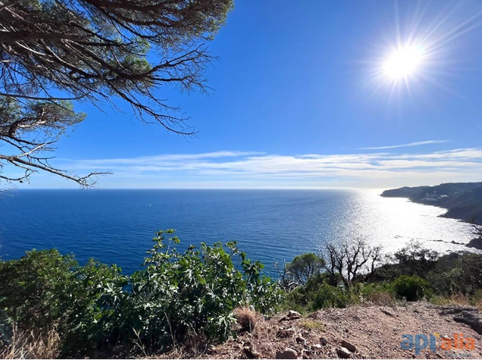 Mark till salu i Canet de Mar - 79 000 € (Ref: 9929009)