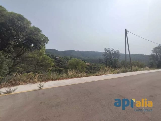 Ubebygd land til salgs i Calonge i Sant Antoni - € 45 000 (Ref: 9929021)